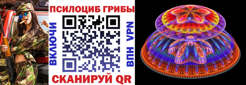 Псилоцибиновые грибы Cubensis  купить наркотик  Сосновка 